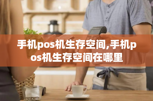 手机pos机生存空间,手机pos机生存空间在哪里