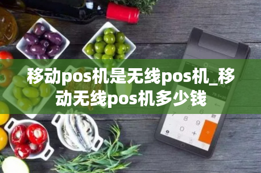 移动pos机是无线pos机_移动无线pos机多少钱