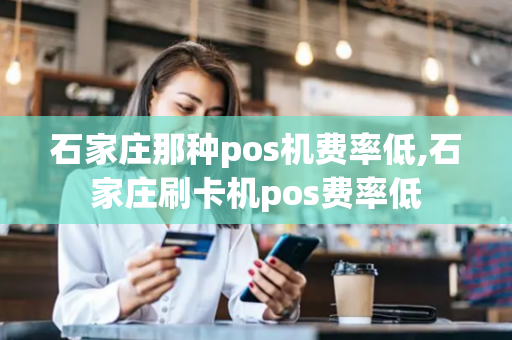 石家庄那种pos机费率低,石家庄刷卡机pos费率低