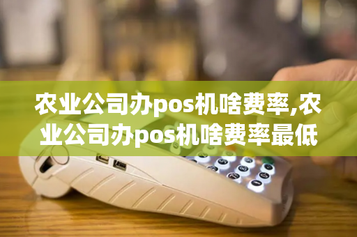 农业公司办pos机啥费率,农业公司办pos机啥费率最低