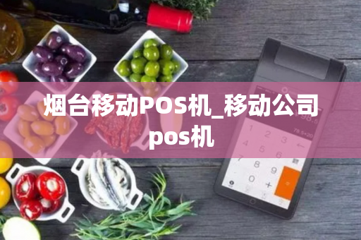 烟台移动POS机_移动公司pos机