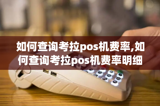 如何查询考拉pos机费率,如何查询考拉pos机费率明细