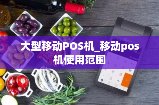 大型移动POS机_移动pos机使用范围