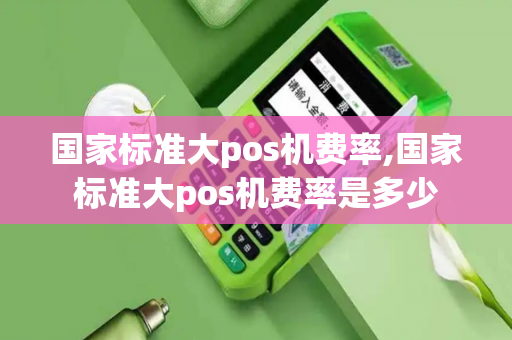 国家标准大pos机费率,国家标准大pos机费率是多少