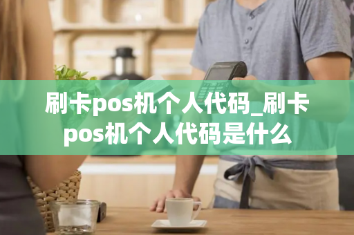 刷卡pos机个人代码_刷卡pos机个人代码是什么