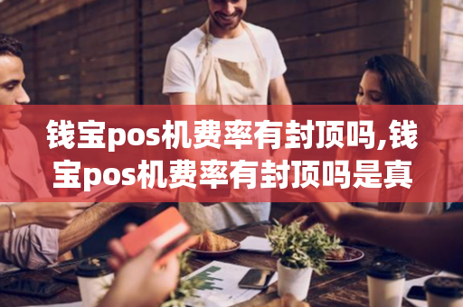 钱宝pos机费率有封顶吗,钱宝pos机费率有封顶吗是真的吗