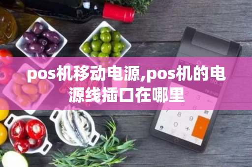 pos机移动电源,pos机的电源线插口在哪里