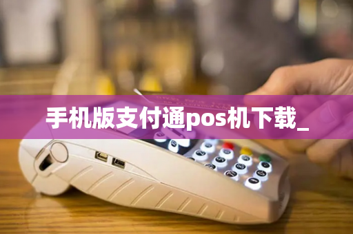 手机版支付通pos机下载_