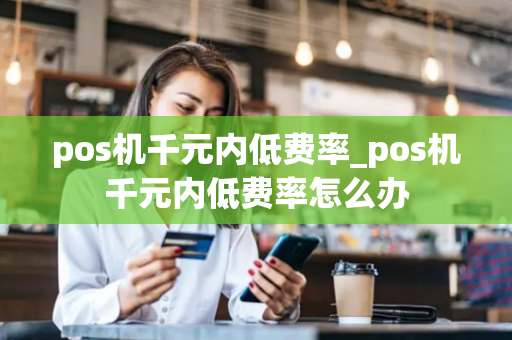 pos机千元内低费率_pos机千元内低费率怎么办