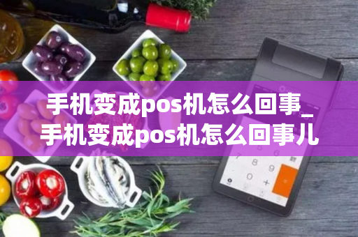 手机变成pos机怎么回事_手机变成pos机怎么回事儿