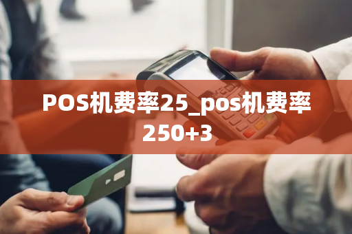 POS机费率25_pos机费率250+3