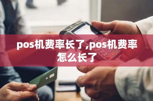 pos机费率长了,pos机费率怎么长了