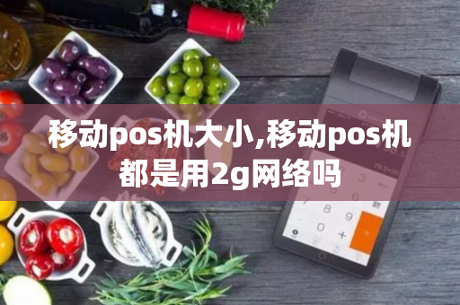 移动pos机大小,移动pos机都是用2g网络吗