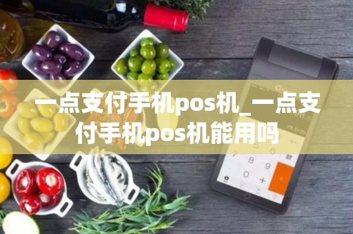 一点支付手机pos机_一点支付手机pos机能用吗