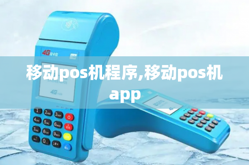 移动pos机程序,移动pos机app