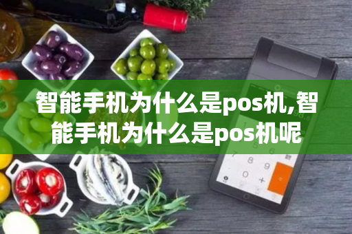 智能手机为什么是pos机,智能手机为什么是pos机呢