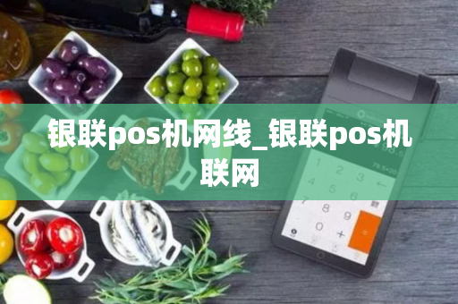 银联pos机网线_银联pos机联网