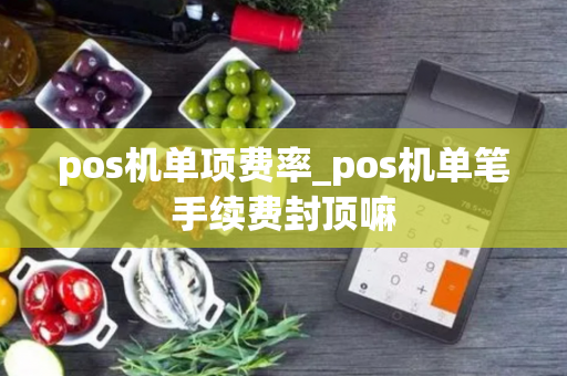 pos机单项费率_pos机单笔手续费封顶嘛