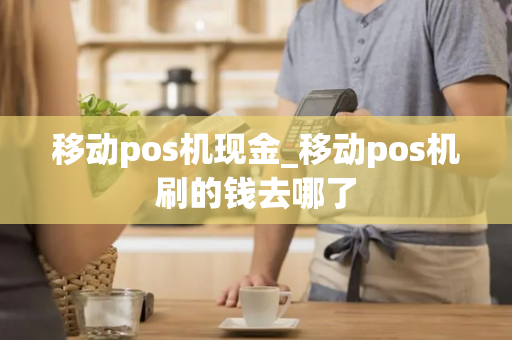 移动pos机现金_移动pos机刷的钱去哪了