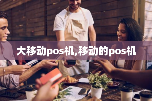 大移动pos机,移动的pos机