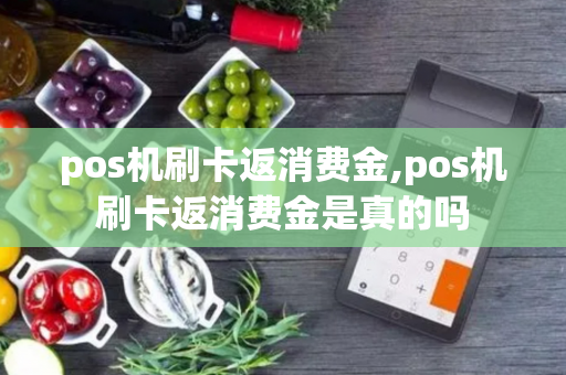 pos机刷卡返消费金,pos机刷卡返消费金是真的吗