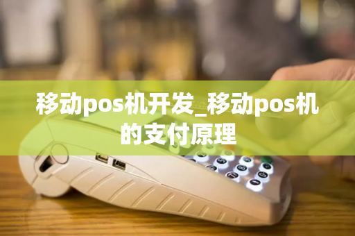 移动pos机开发_移动pos机的支付原理