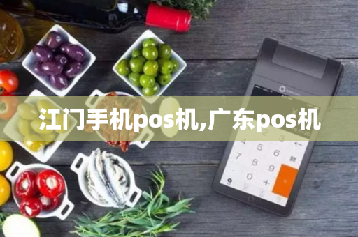 江门手机pos机,广东pos机