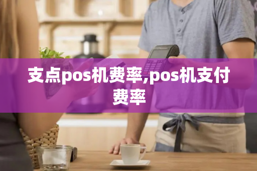 支点pos机费率,pos机支付费率