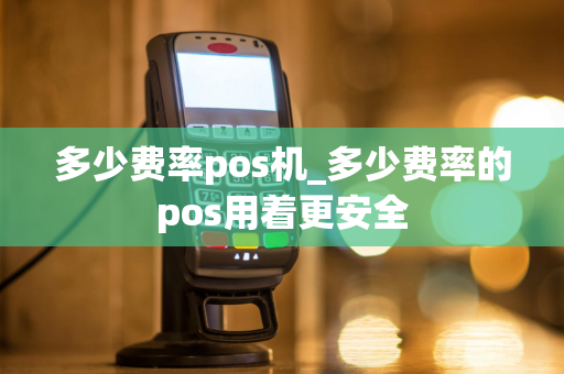 多少费率pos机_多少费率的pos用着更安全