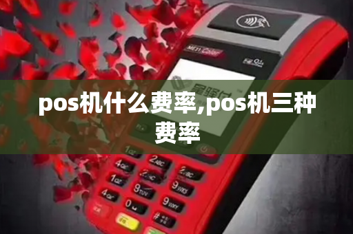 pos机什么费率,pos机三种费率