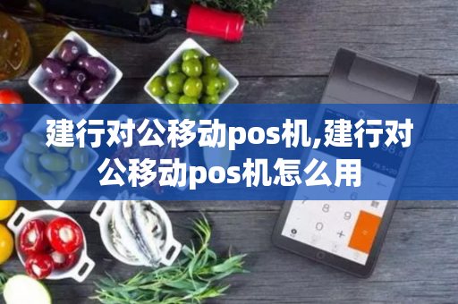 建行对公移动pos机,建行对公移动pos机怎么用