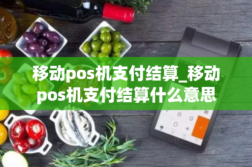 移动pos机支付结算_移动pos机支付结算什么意思