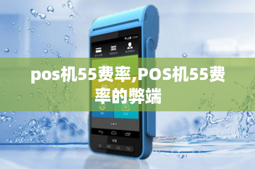 pos机55费率,POS机55费率的弊端